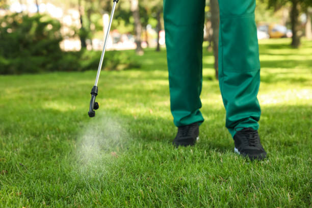 Pest Control Cost in Bogata, TX