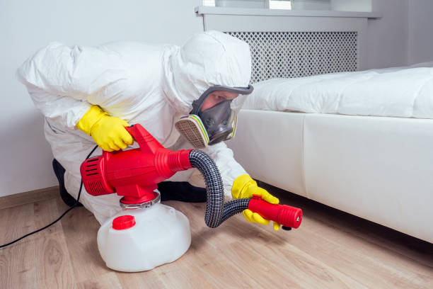 Best Commercial Pest Control Services  in Bogata, TX