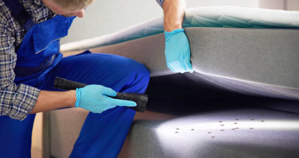 Best Bed Bug Extermination  in Bogata, TX