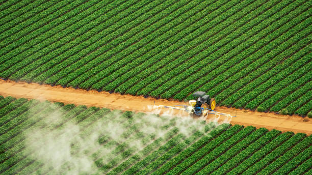 Best Pest Prevention Services  in Bogata, TX