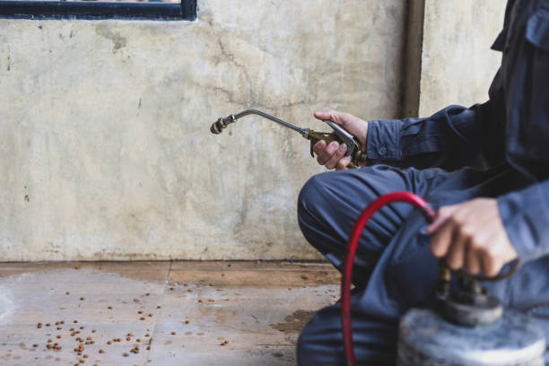 Trusted Bogata, TX Pest Control Experts